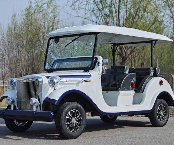 Classic series new golf carts for sale Alberta