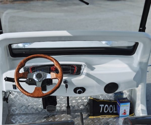 Golf cart interior steering wheel Alberta