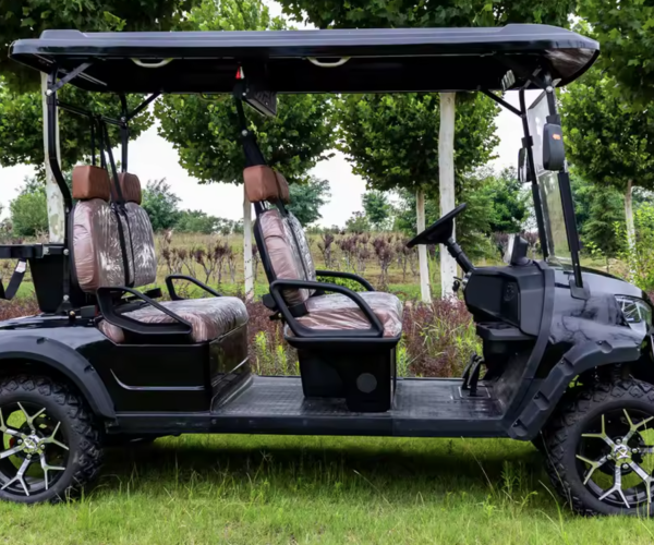Black golf cart with rear seat Alberta